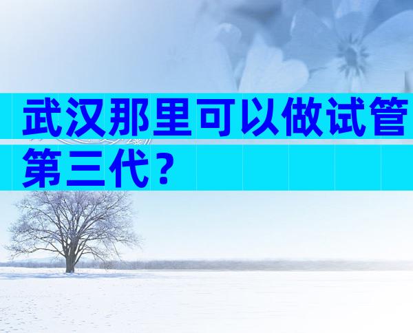 武汉那里可以做试管第三代？