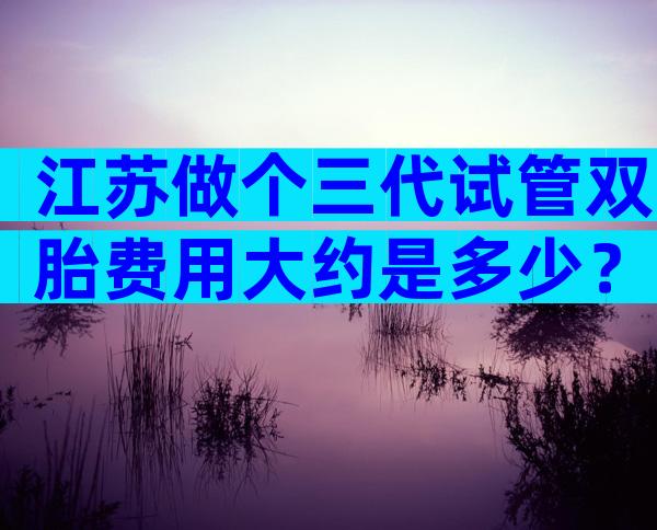 江苏做个三代试管双胎费用大约是多少？