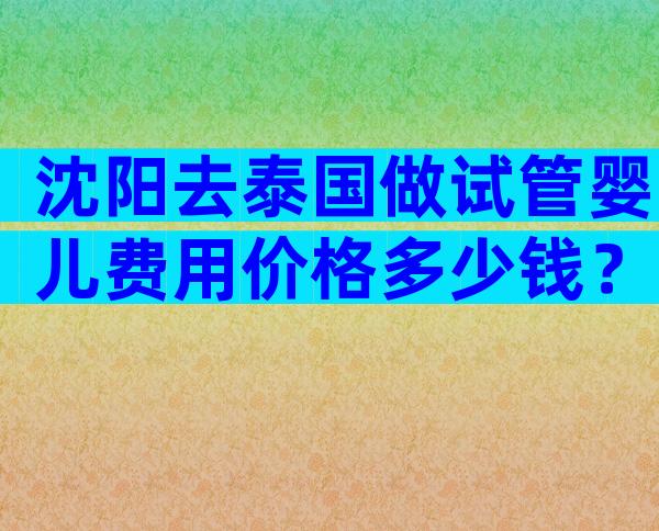 沈阳去泰国做试管婴儿费用价格多少钱？