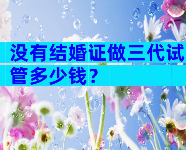 没有结婚证做三代试管多少钱？