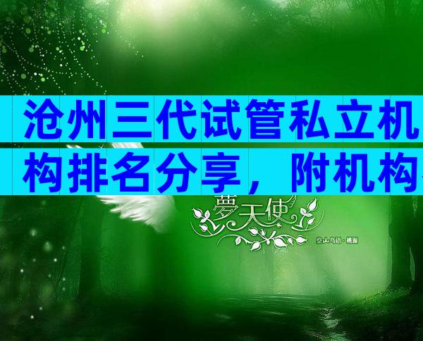 沧州三代试管私立机构排名分享，附机构名单推荐