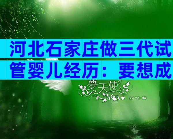 河北石家庄做三代试管婴儿经历：要想成功必做的五件事！