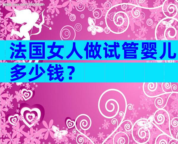 法国女人做试管婴儿多少钱？