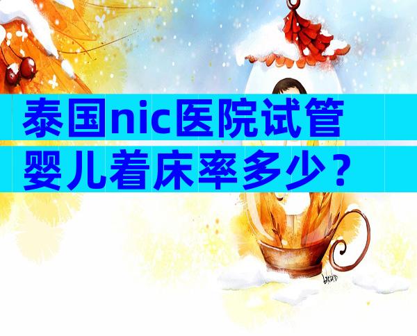 泰国nic医院试管婴儿着床率多少？