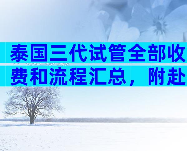 泰国三代试管全部收费和流程汇总，附赴泰真实经历过程