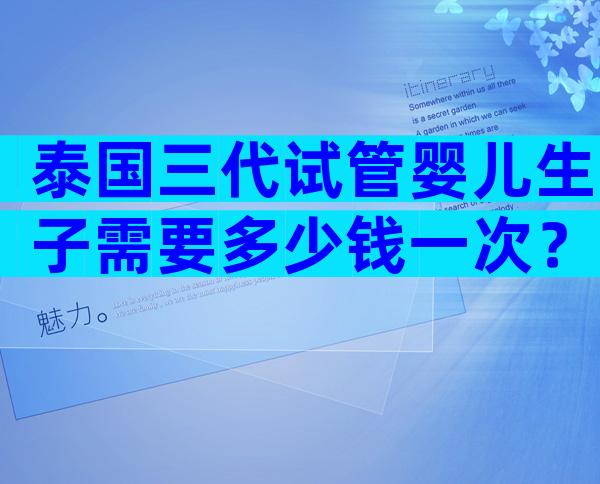 泰国三代试管婴儿生子需要多少钱一次？三十万绰绰有余