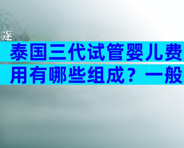 泰国三代试管婴儿费用有哪些组成？一般都是四个方面