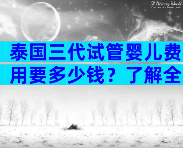 泰国三代试管婴儿费用要多少钱？了解全部费用！