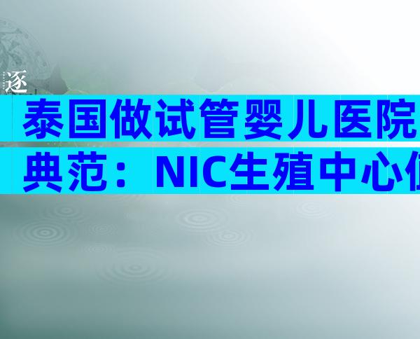 泰国做试管婴儿医院典范：NIC生殖中心值得信赖！