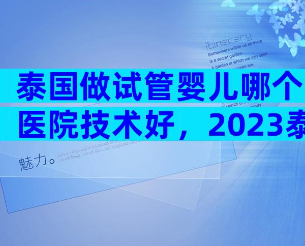 泰国做试管婴儿哪个医院技术好，2023泰国十大试管医院名单汇总