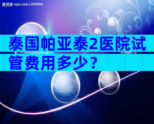 泰国帕亚泰2医院试管费用多少？