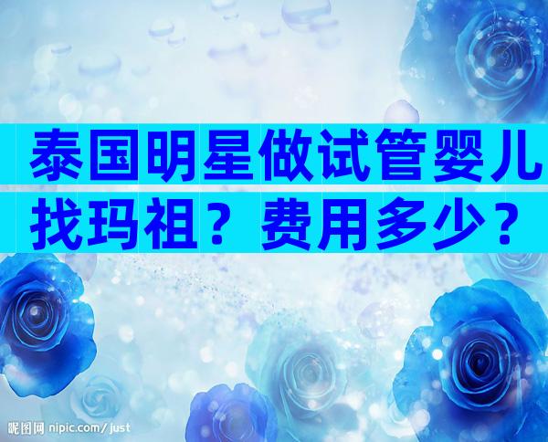 泰国明星做试管婴儿找玛祖？费用多少？