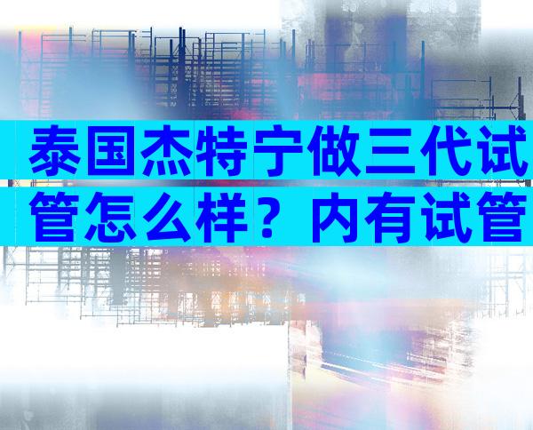 泰国杰特宁做三代试管怎么样？内有试管费用和成功率一览