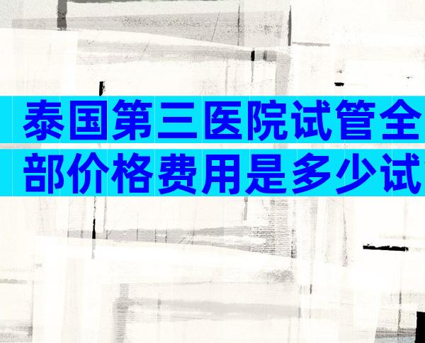 泰国第三医院试管全部价格费用是多少试管辅助生殖成功率预估