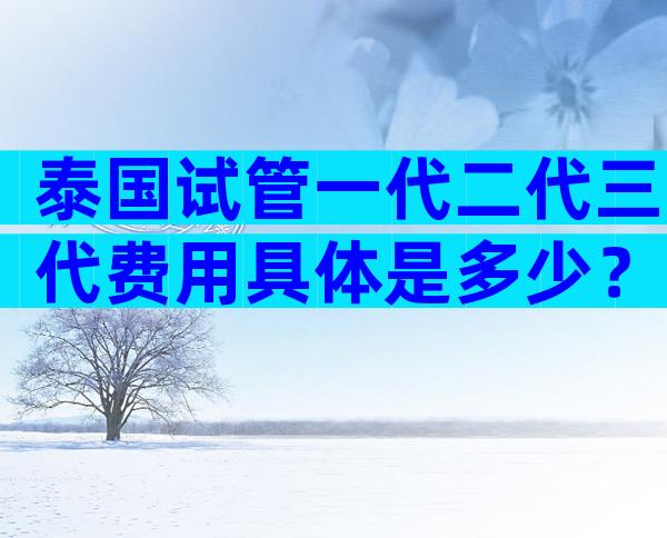 泰国试管一代二代三代费用具体是多少？三大有名气医院费用清单公布