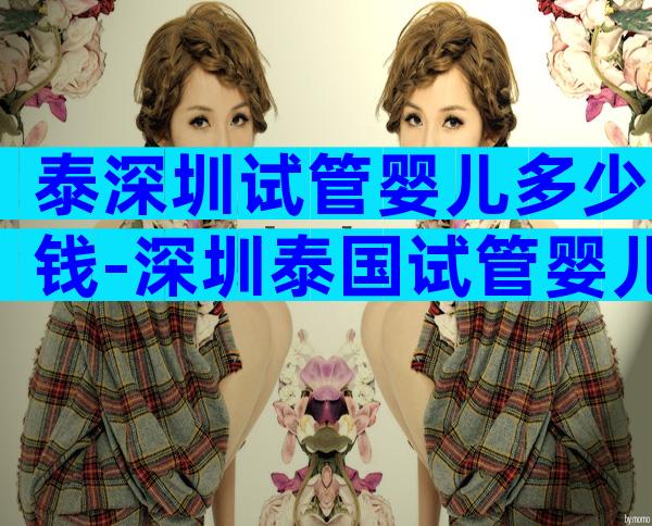 泰深圳试管婴儿多少钱-深圳泰国试管婴儿服务机构