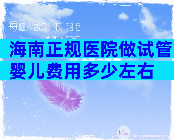 海南正规医院做试管婴儿费用多少左右