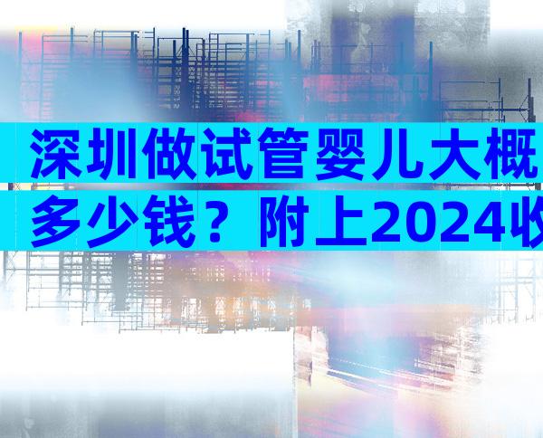 深圳做试管婴儿大概多少钱？附上2024收费标准