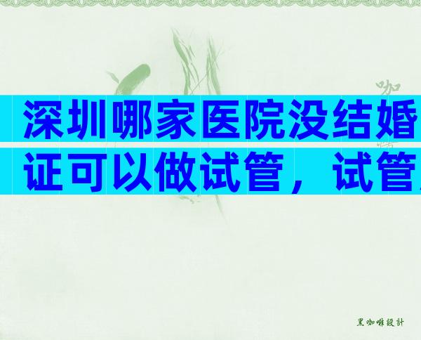 深圳哪家医院没结婚证可以做试管，试管所需证件资料