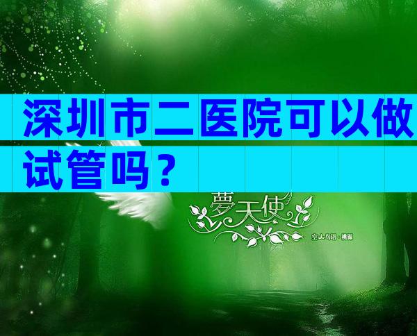 深圳市二医院可以做试管吗？