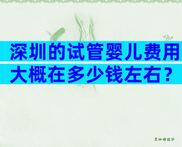 深圳的试管婴儿费用大概在多少钱左右？