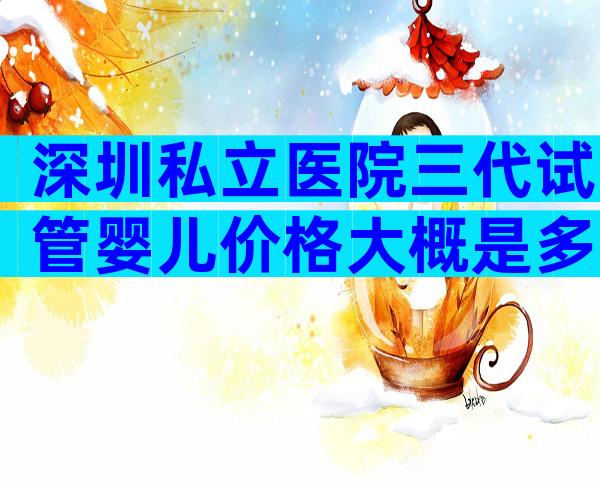 深圳私立医院三代试管婴儿价格大概是多少钱，2024费用曝光