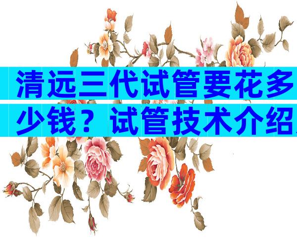 清远三代试管要花多少钱？试管技术介绍及相应价格