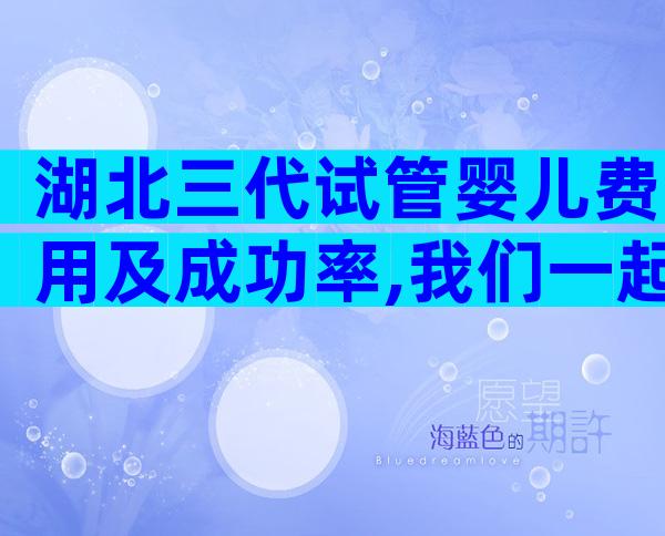 湖北三代试管婴儿费用及成功率,我们一起来看看