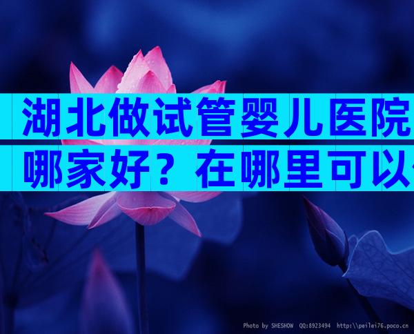 湖北做试管婴儿医院哪家好？在哪里可以做？