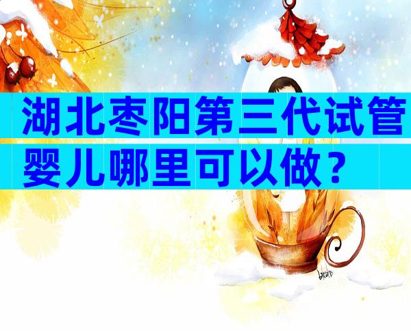 湖北枣阳第三代试管婴儿哪里可以做？