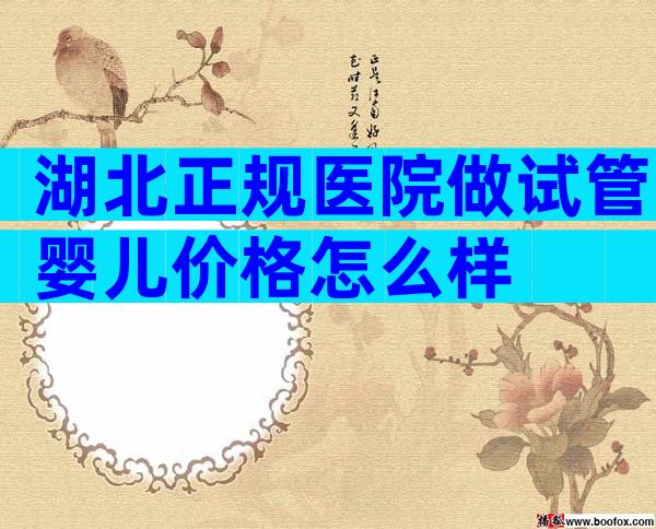 湖北正规医院做试管婴儿价格怎么样