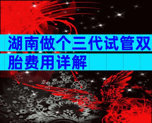 湖南做个三代试管双胎费用详解