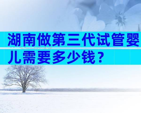 湖南做第三代试管婴儿需要多少钱？