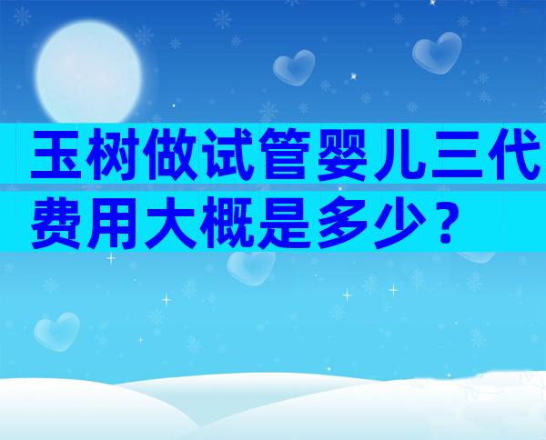 玉树做试管婴儿三代费用大概是多少？