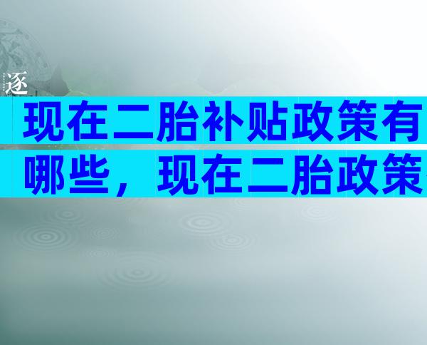 现在二胎补贴政策有哪些，现在二胎政策有补助吗