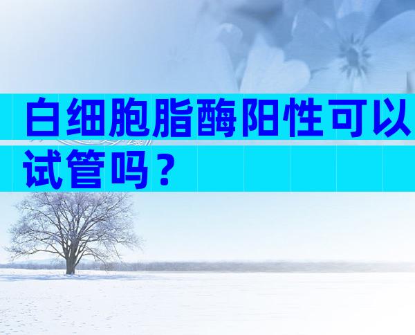 白细胞脂酶阳性可以试管吗？