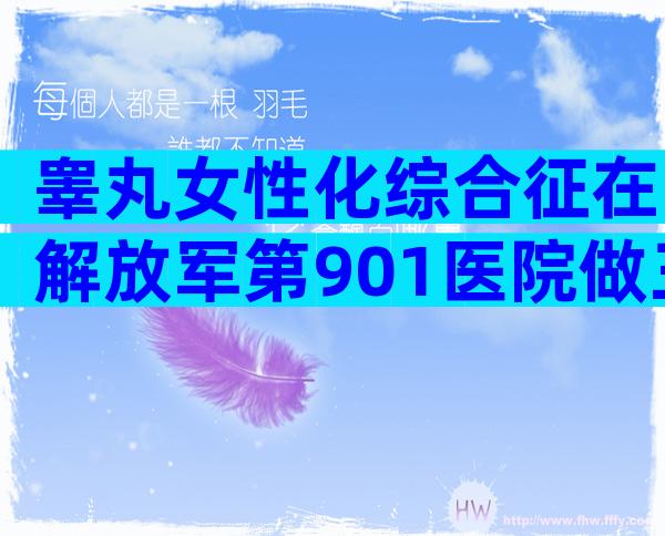 睾丸女性化综合征在解放军第901医院做三代试管可以避免遗传吗？三代试管费用