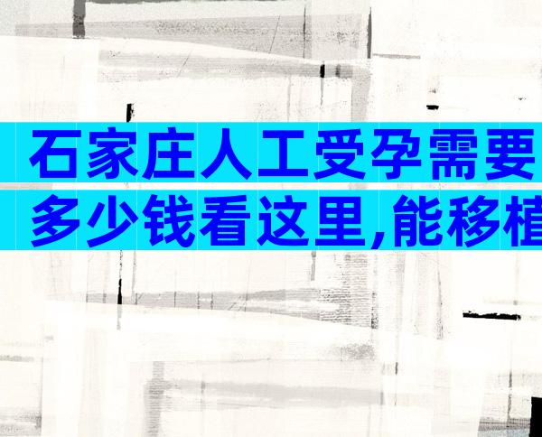 石家庄人工受孕需要多少钱看这里,能移植几个胚胎？