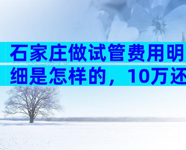 石家庄做试管费用明细是怎样的，10万还是15万