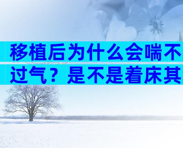 移植后为什么会喘不过气？是不是着床其实很好判断？