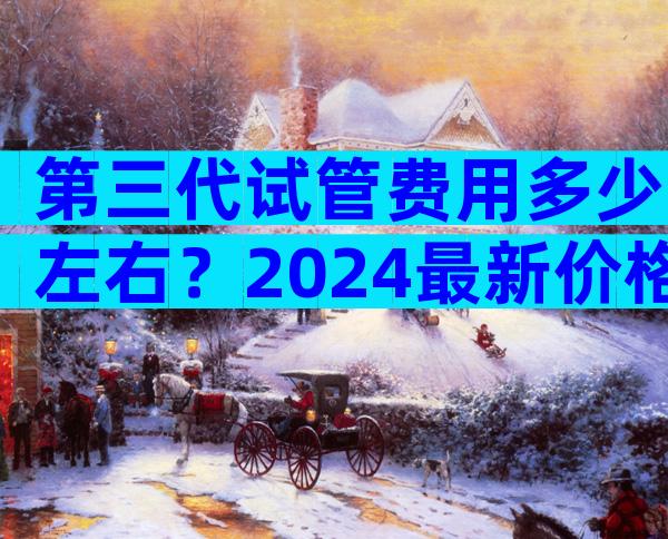 第三代试管费用多少左右？2024最新价格表？