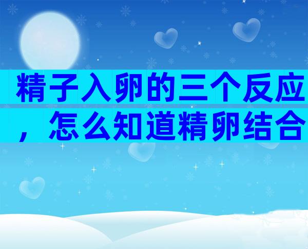 精子入卵的三个反应，怎么知道精卵结合了没？