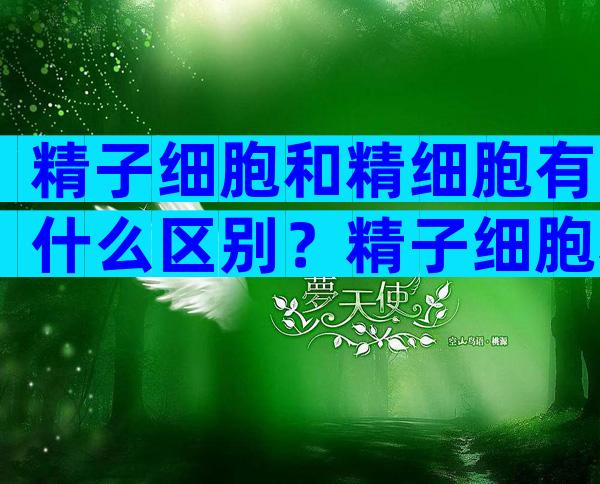 精子细胞和精细胞有什么区别？精子细胞和精细胞的区别