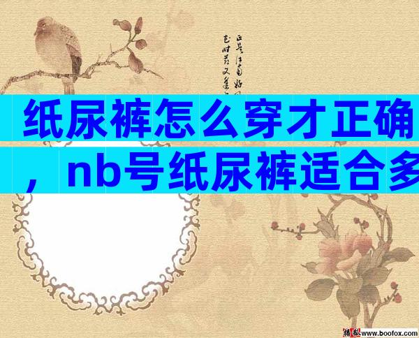 纸尿裤怎么穿才正确，nb号纸尿裤适合多大宝宝