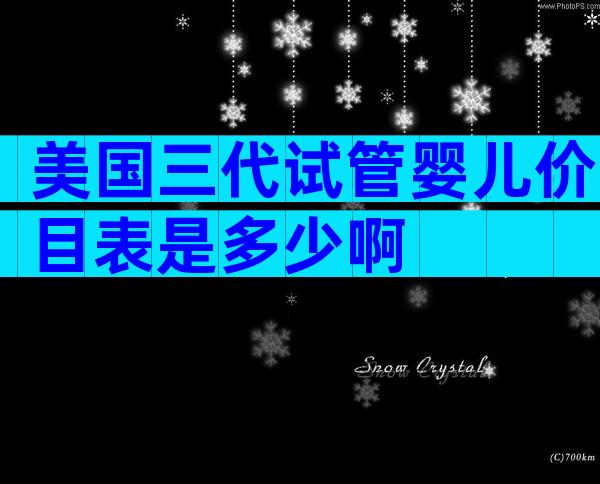 美国三代试管婴儿价目表是多少啊