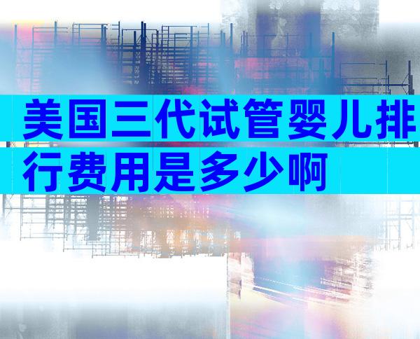 美国三代试管婴儿排行费用是多少啊