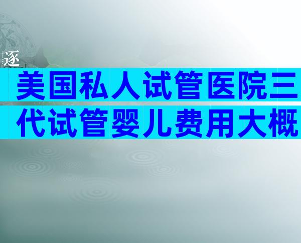 美国私人试管医院三代试管婴儿费用大概要多少啊？