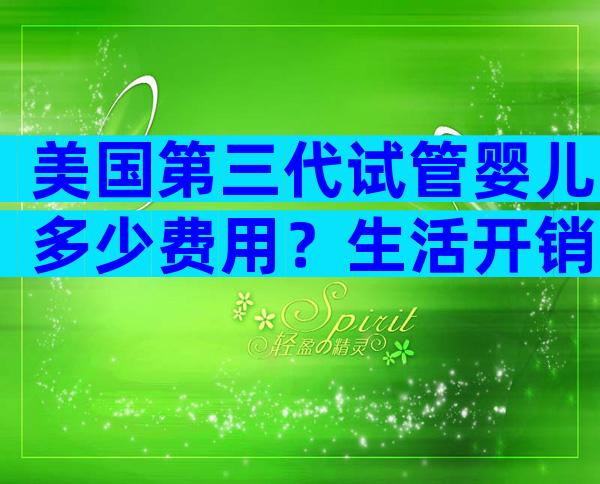 美国第三代试管婴儿多少费用？生活开销大吗？