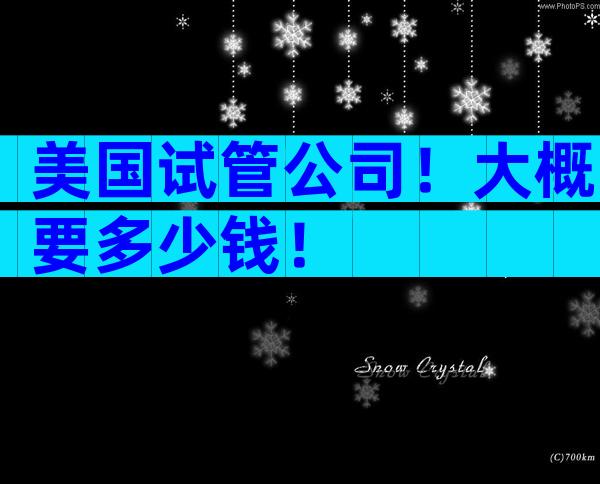 美国试管公司！大概要多少钱！