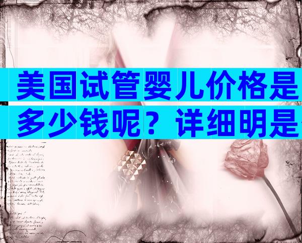 美国试管婴儿价格是多少钱呢？详细明是什么？